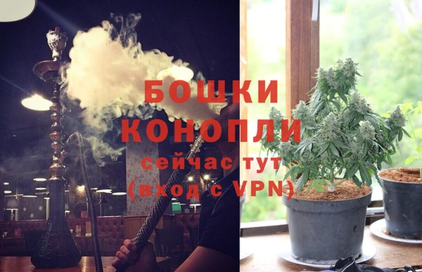 трава Балахна
