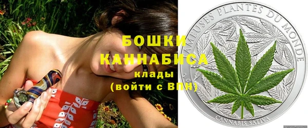 трава Балахна