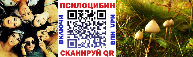 где купить наркоту  Островной  Псилоцибиновые грибы MAGIC MUSHROOMS 